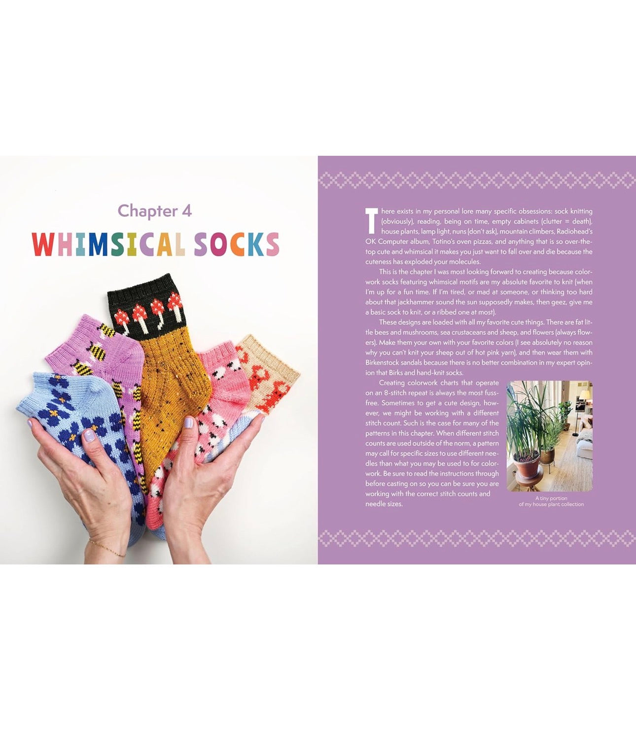 The Sock Obsession