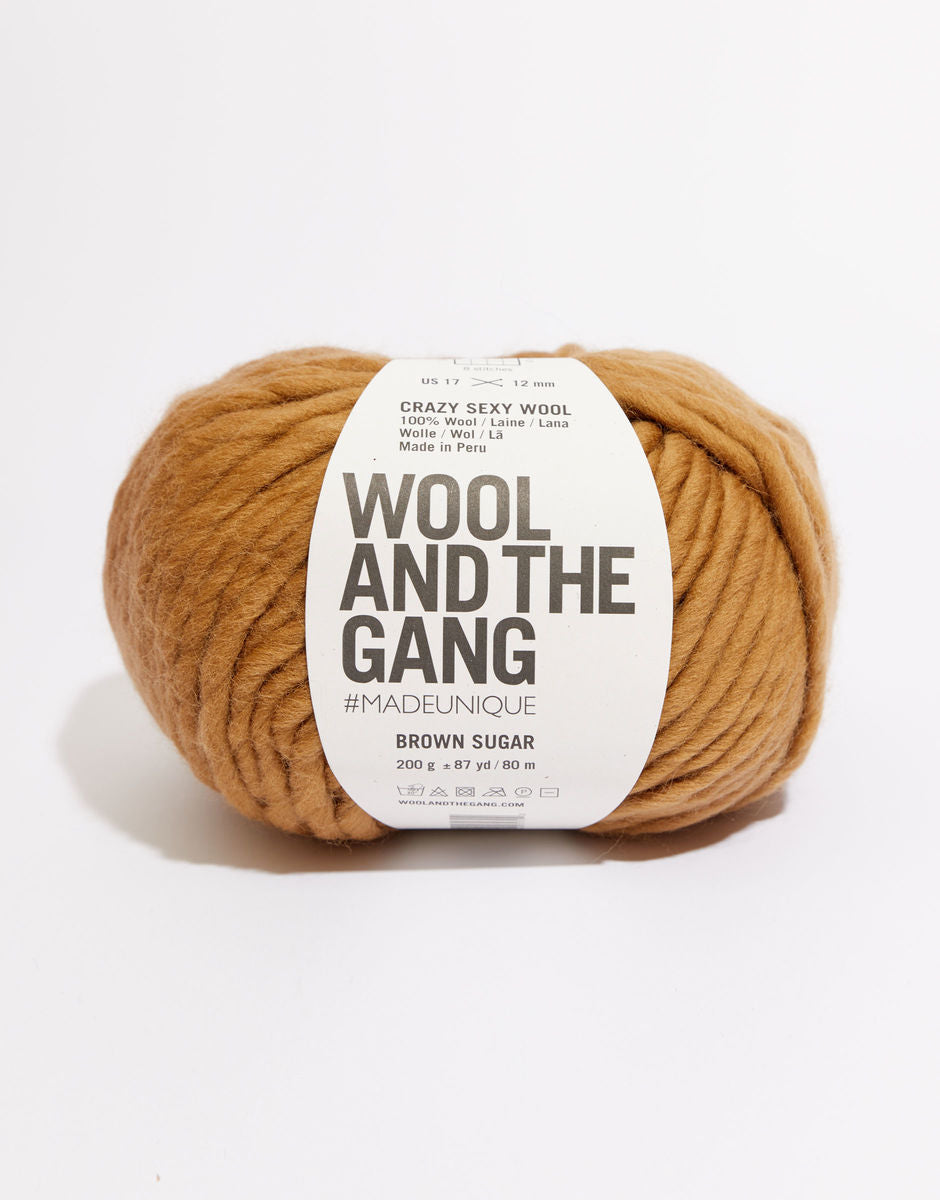 Crazy Sexy Wool Yarn by Wool and The Gang