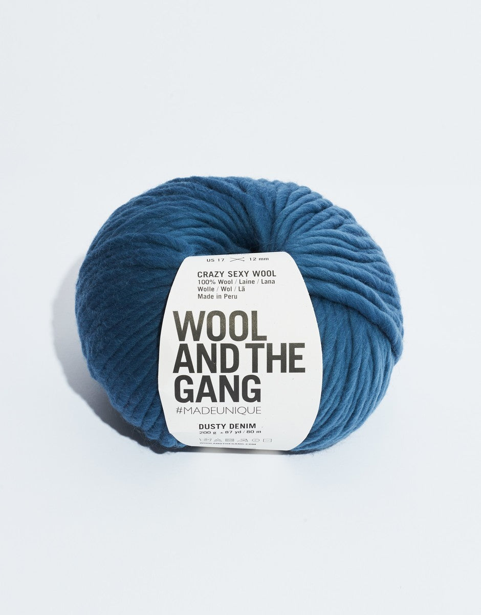 Crazy Sexy Wool Yarn by Wool and The Gang