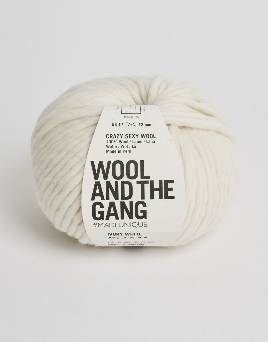 Crazy Sexy Wool Yarn by Wool and The Gang