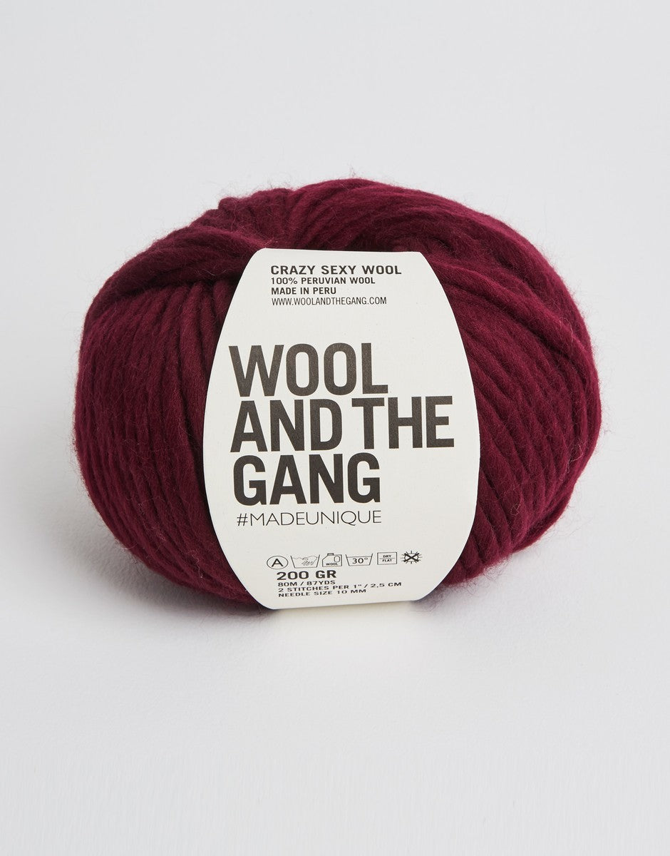 Crazy Sexy Wool Yarn by Wool and The Gang