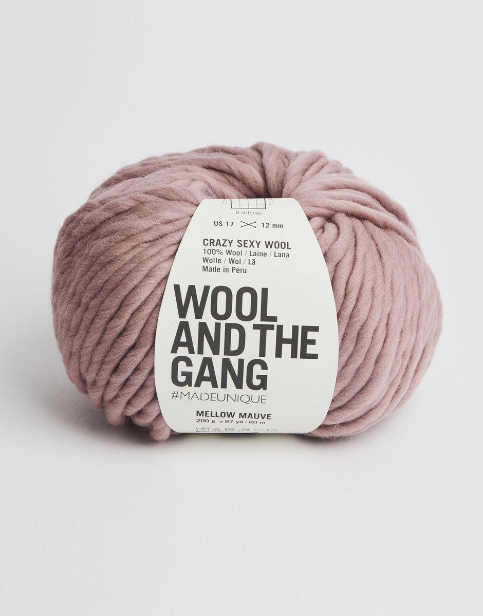 Crazy Sexy Wool Yarn by Wool and The Gang