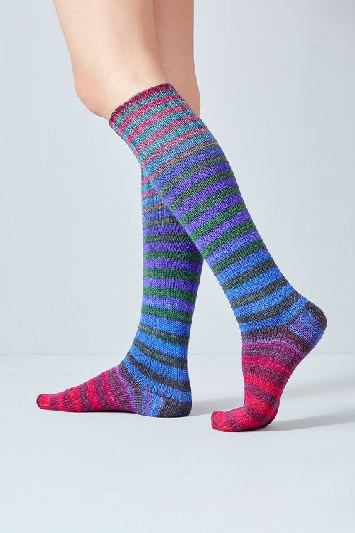 knit sock kit